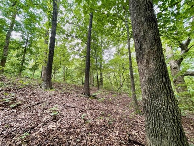 Lakefront lot in Horseshoe Bend, AR for sale - image 19