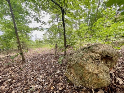 Lakefront lot in Horseshoe Bend, AR for sale - image 23