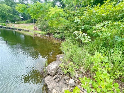 Lakefront lot in Horseshoe Bend, AR for sale - image 15