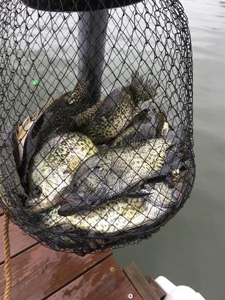 Lakefront lot in Horseshoe Bend, AR for sale - image 32