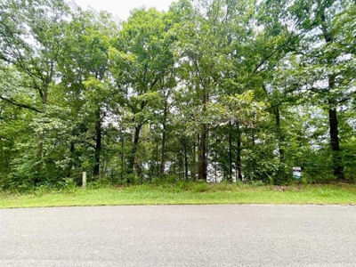 Lakefront lot in Horseshoe Bend, AR for sale - image 2