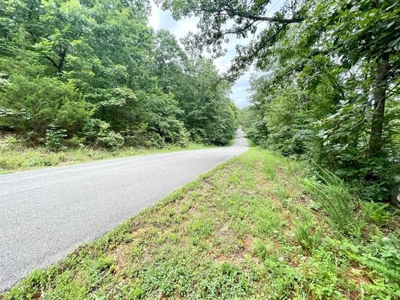 Lakefront lot in Horseshoe Bend, AR for sale - image 29