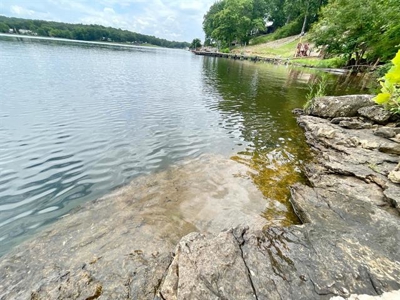 Lakefront lot in Horseshoe Bend, AR for sale - image 8