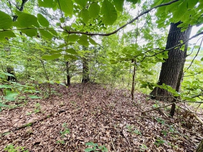 Lakefront lot in Horseshoe Bend, AR for sale - image 11