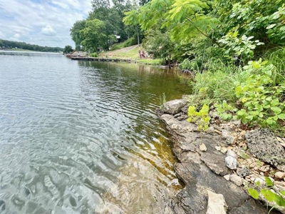 Lakefront lot in Horseshoe Bend, AR for sale - image 9