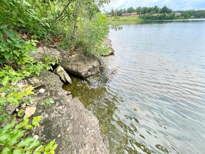 Lakefront lot in Horseshoe Bend, AR for sale - image 10