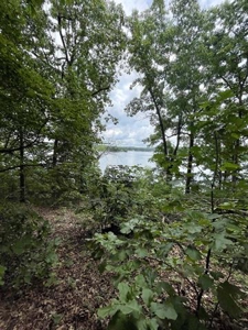 Lakefront lot in Horseshoe Bend, AR for sale - image 3