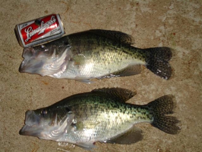 Lakefront lot in Horseshoe Bend, AR for sale - image 41