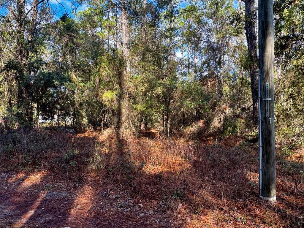 Easy utility access after permitting