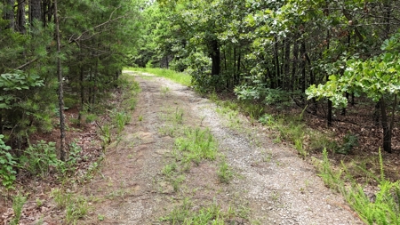 40 Acres Land for Sale in Haskell County, OK - image 14