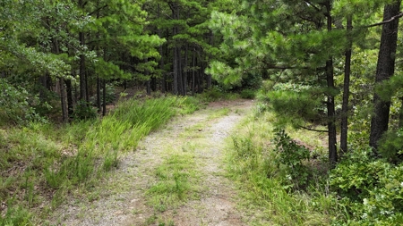 40 Acres Land for Sale in Haskell County, OK - image 13