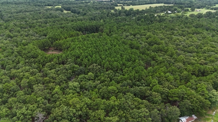 40 Acres Land for Sale in Haskell County, OK - image 11