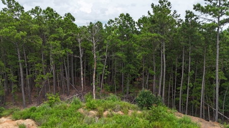 40 Acres Land for Sale in Haskell County, OK - image 8