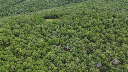 40 Acres Land for Sale in Haskell County, OK - image 10