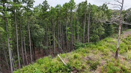 40 Acres Land for Sale in Haskell County, OK - image 2