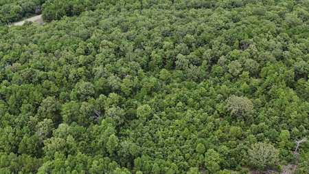 40 Acres Land for Sale in Haskell County, OK - image 4