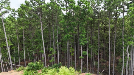 40 Acres Land for Sale in Haskell County, OK - image 9