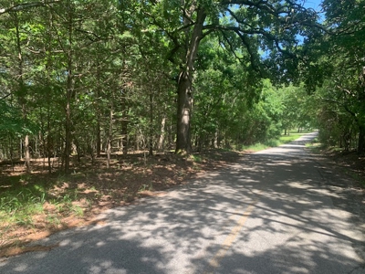 Acreage Overlooking Bull Shoals Lake - image 22