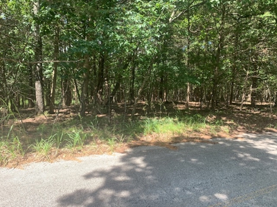 Acreage Overlooking Bull Shoals Lake - image 21