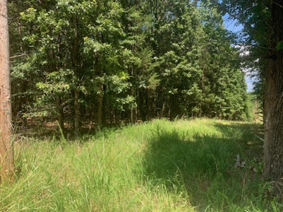 Acreage Overlooking Bull Shoals Lake - image 1