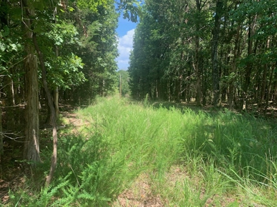 Acreage Overlooking Bull Shoals Lake - image 3