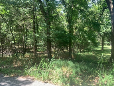 Acreage Overlooking Bull Shoals Lake - image 16