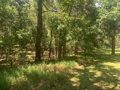 Acreage Overlooking Bull Shoals Lake - image 27