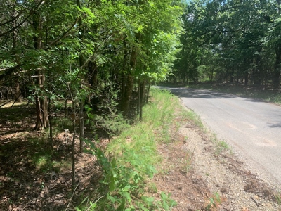 Acreage Overlooking Bull Shoals Lake - image 17