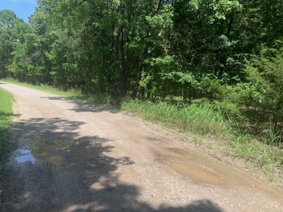Acreage Overlooking Bull Shoals Lake - image 18
