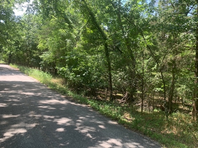 Acreage Overlooking Bull Shoals Lake - image 25