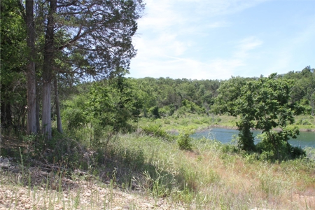 Acreage Overlooking Bull Shoals Lake - image 28