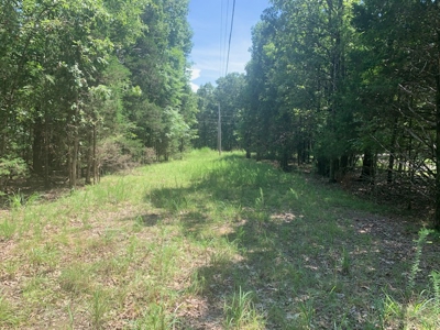 Acreage Overlooking Bull Shoals Lake - image 5
