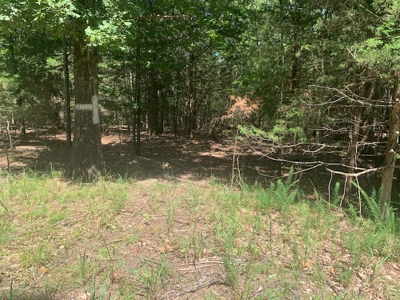 Acreage Overlooking Bull Shoals Lake - image 9