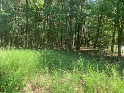 Acreage Overlooking Bull Shoals Lake - image 2