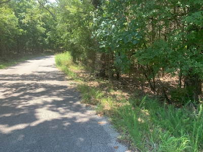 Acreage Overlooking Bull Shoals Lake - image 19