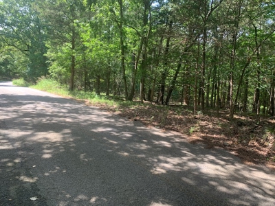 Acreage Overlooking Bull Shoals Lake - image 24