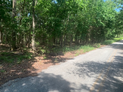 Acreage Overlooking Bull Shoals Lake - image 23