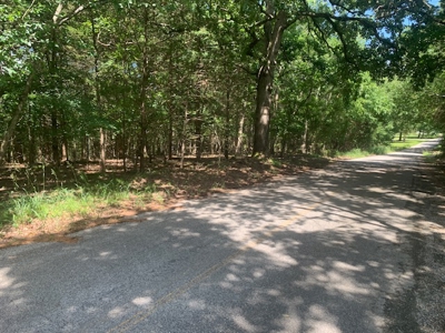 Acreage Overlooking Bull Shoals Lake - image 20