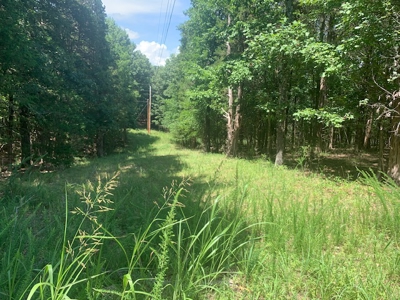 Acreage Overlooking Bull Shoals Lake - image 4