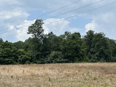 31.33 +/- Acres of Prime Land Endless Possibilities! - image 14