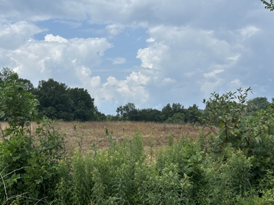 31.33 +/- Acres of Prime Land Endless Possibilities! - image 13
