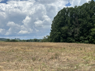 31.33 +/- Acres of Prime Land Endless Possibilities! - image 4