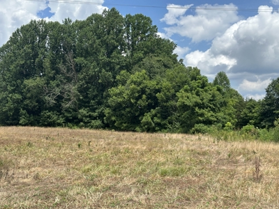 31.33 +/- Acres of Prime Land Endless Possibilities! - image 5