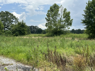 31.33 +/- Acres of Prime Land Endless Possibilities! - image 6