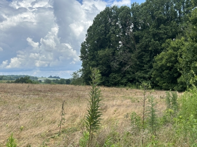 31.33 +/- Acres of Prime Land Endless Possibilities! - image 15