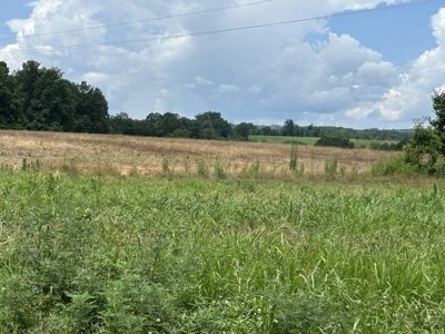 31.33 +/- Acres of Prime Land Endless Possibilities! - image 2