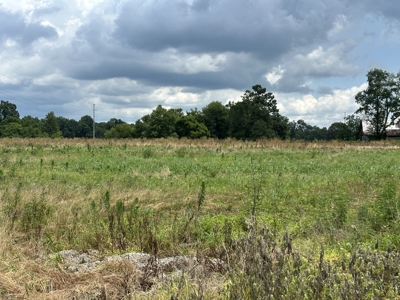 31.33 +/- Acres of Prime Land Endless Possibilities! - image 3