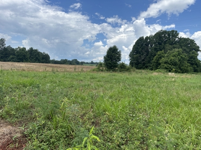 31.33 +/- Acres of Prime Land Endless Possibilities! - image 1