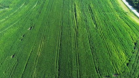 Rural Lucas County Farm & Acreage - image 5