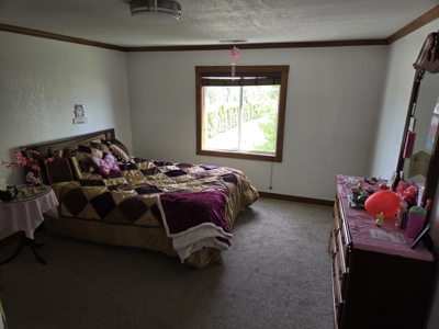 Rural Lucas County Acreage For Sale - image 24
